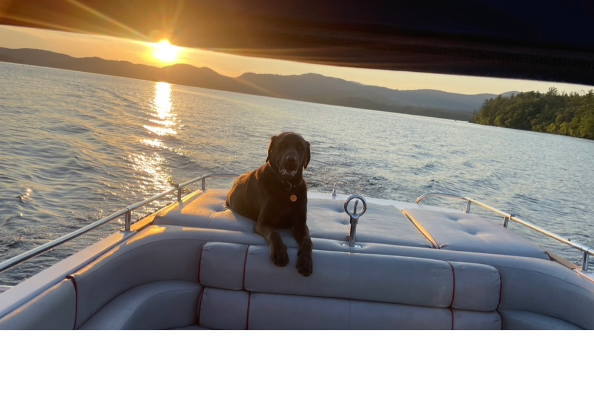 A Summer Evening Boating on Big Squam Insider Tips for a Squam Boat