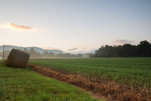 Baldwin, ME Real Estate & Homes for Sale