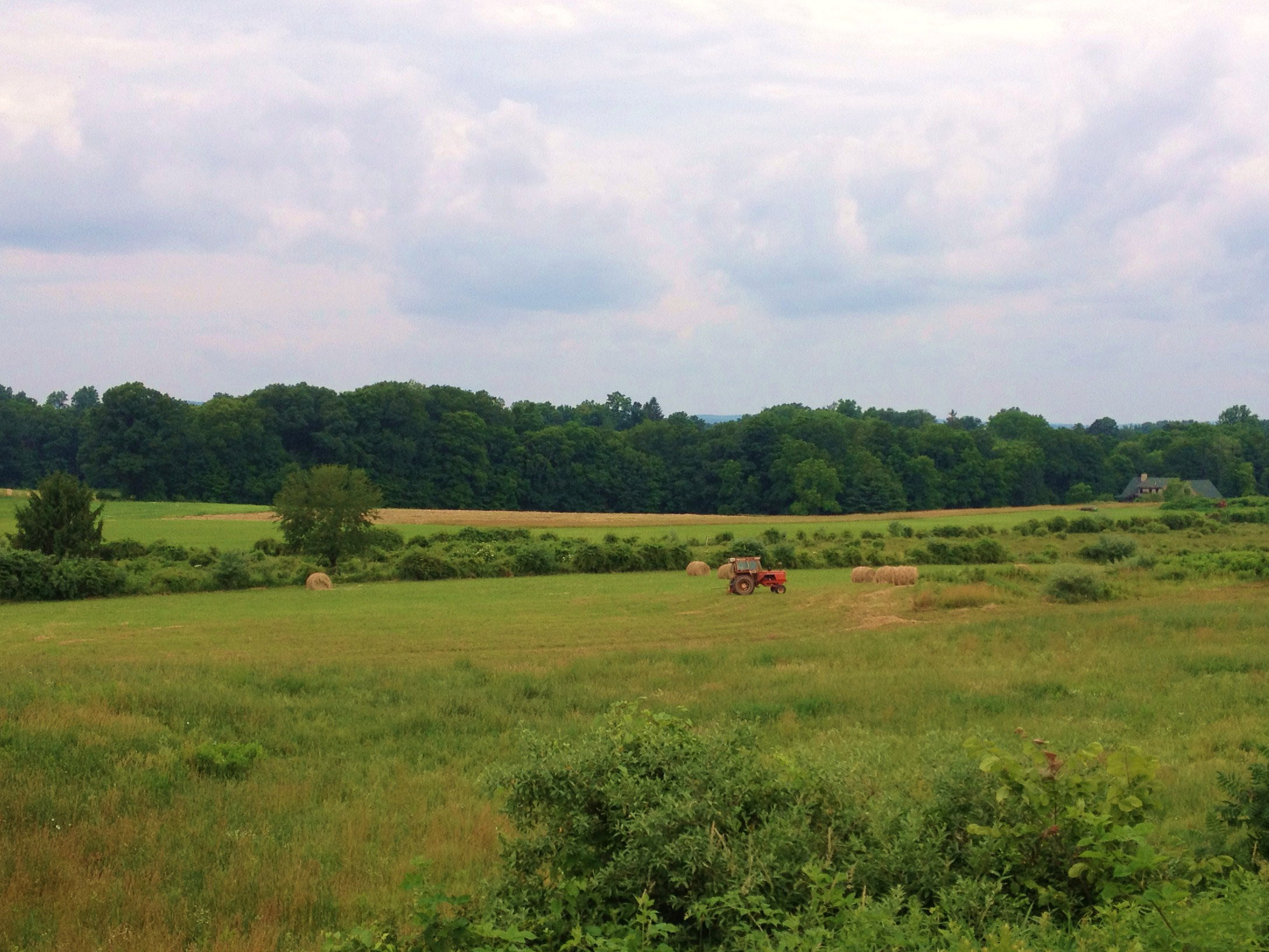 Bethlehem Realtors Homes for Sale in Bethlehem, NH Badger Peabody