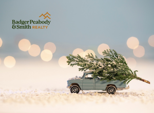 Christmas Tree Farms - Grafton & Coos Counties, NH - Badger, Peabody & Smith