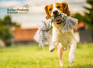 Could Your Yard Become a Sniffspot? | Badger Peabody & Smith Realty