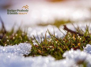 False Spring | Badger Peabody & Smith Realty