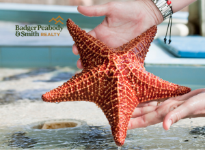 Family Fun in NH Before Back to School | Badger Peabody & Smith Realty