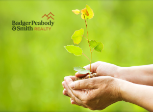 Homeowner Tips for Arbor Day Tree Planting | Badger Peabody & Smith Realty