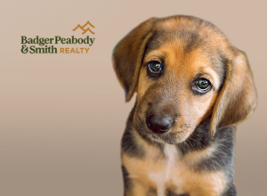 How to Prepare Your NH Home for a New Puppy | Badger Peabody & Smith Realty