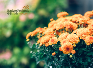 How to Refresh Your Landscaping for Autumn Appeal | Badger Peabody & Smith Realty