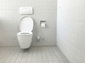 Low-Flow Toilet - Earth Day 2026 | Badger Peabody & Smith Realty