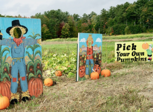 Moulton Farm - Meredith, NH  | Badger Peabody & Smith Realty