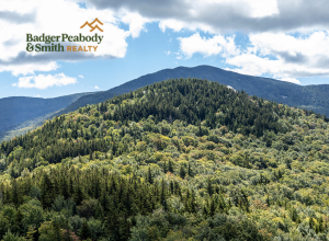 Peaceful Spring Hikes Around the Mount Washington Valley | Badger Peabody & Smith Realty