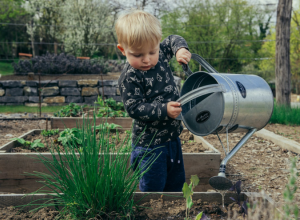 Plant a Garden - Earth Day 2026 | Badger Peabody & Smith Realty