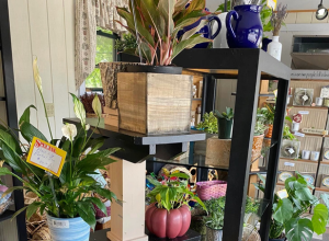 Ruthie's Flower Shop - Plant Display | Badger Peabody & Smith Realty