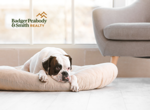 Sellers: Easy Home Updates That Will Appeal to Pet Owners | Badger Peabody & Smith Realty