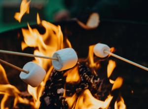 Smores - Don't Let Chilly Winter Days Keep You from Enjoying the Season | Badger Peabody & Smith Realty