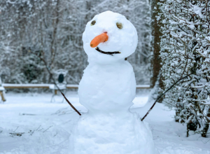 Snowman - Don't Let Chilly Winter Days Keep You from Enjoying the Season | Badger Peabody & Smith Realty