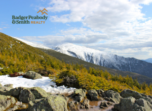 Spring is Busting Out All Over! | Badger Peabody & Smith Realty