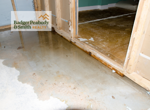Water In The Basement | Badger Peabody & Smith Realty