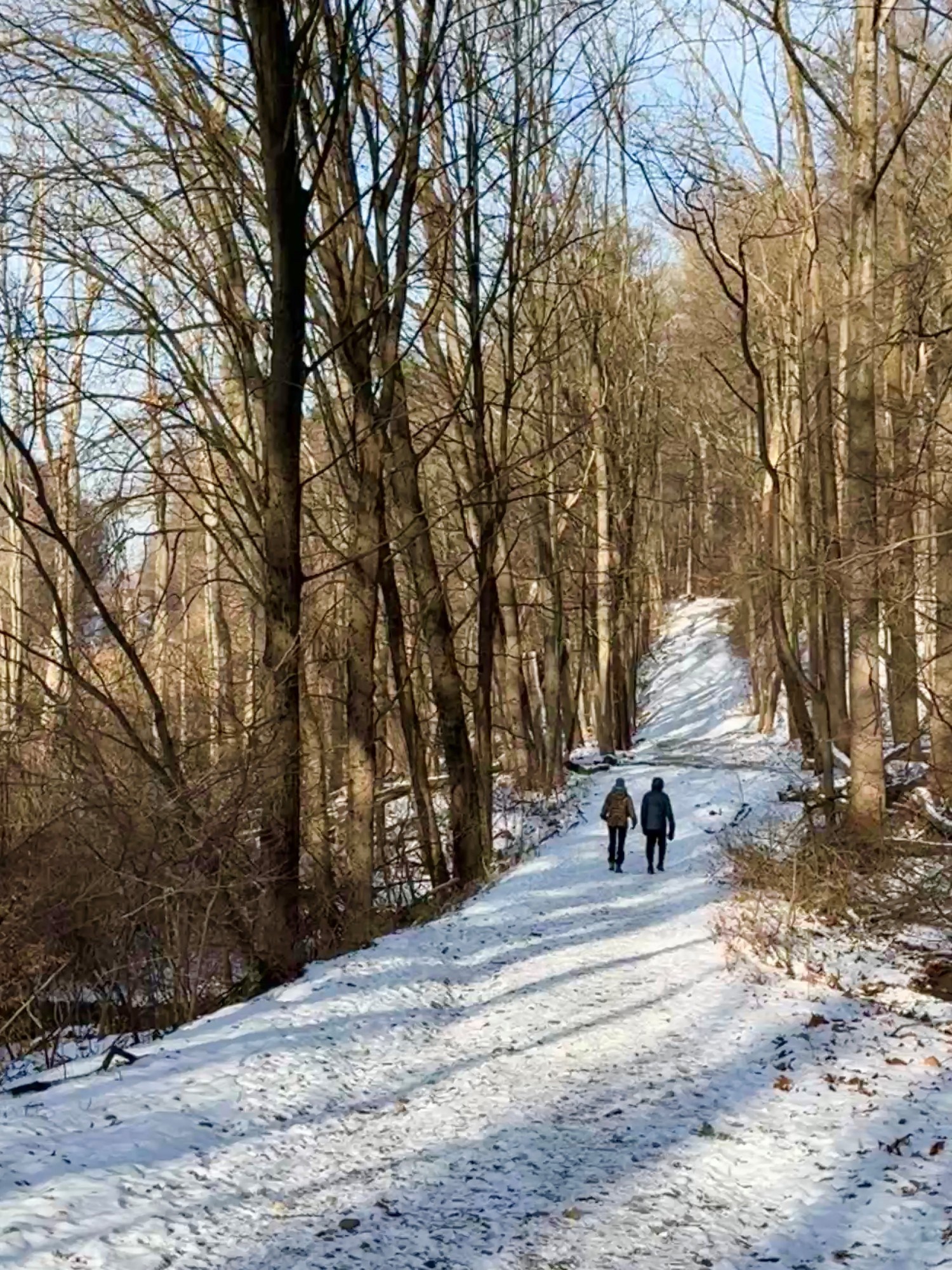 Walking in the Snow, Mt Washington Valley