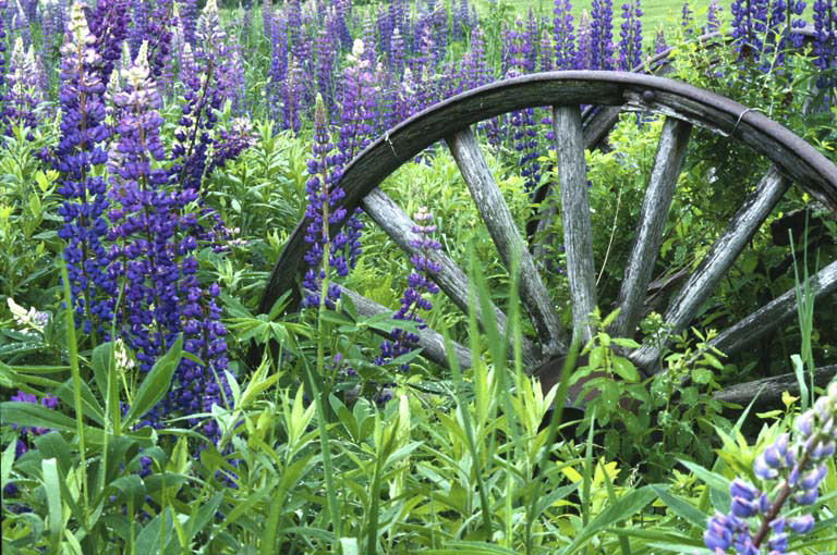 Brookfield Realtors Homes for Sale in Brookfield, NH Badger Peabody