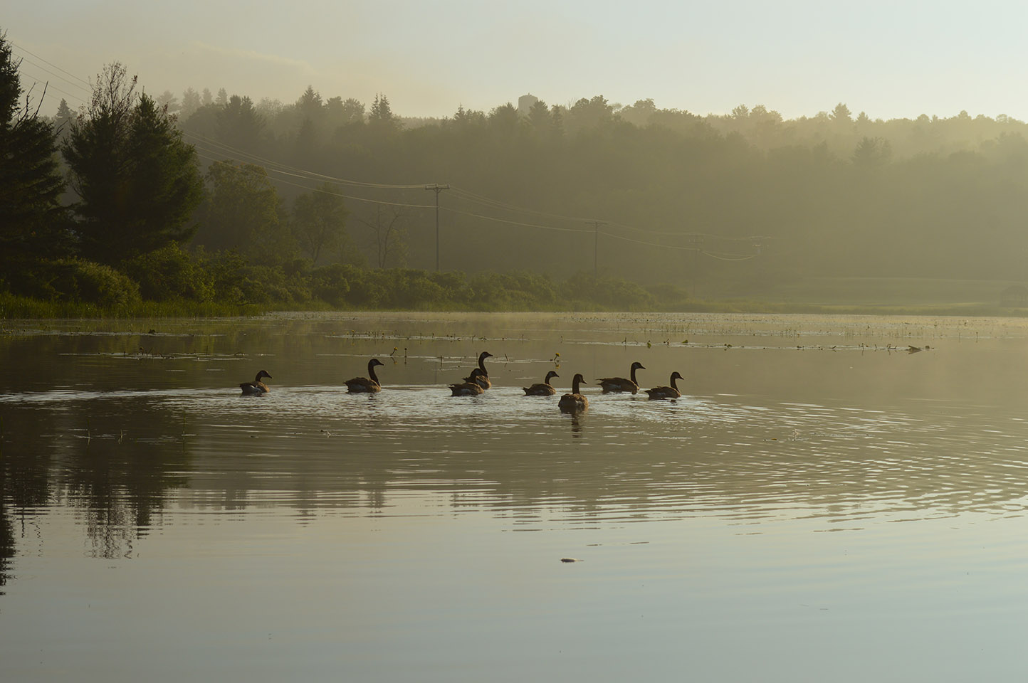 Casco Realtors Homes for Sale in Casco, ME Badger Peabody & Smith