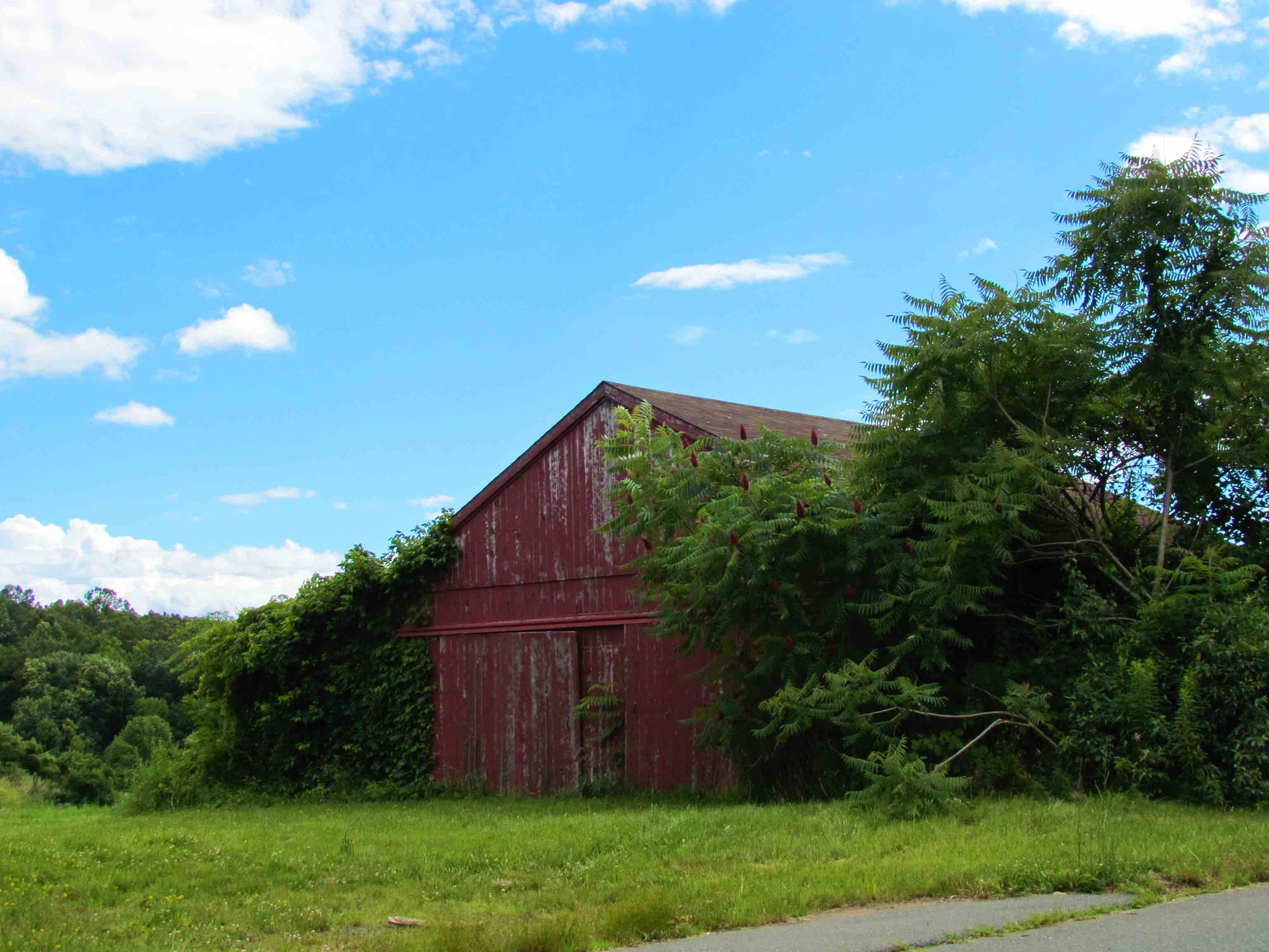 Dummer Homes for Sale Dummer, NH Real Estate Badger Peabody & Smith