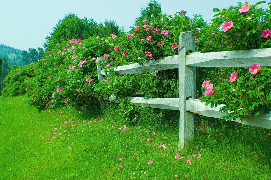 Littleton, NH Homes for Sale Littleton, NH Real Estate & Homes for Sale