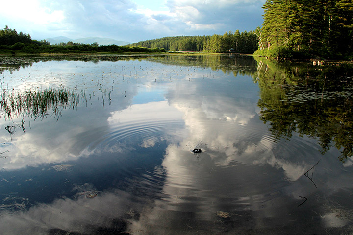 Moultonborough, NH Real Estate & Homes for Sale