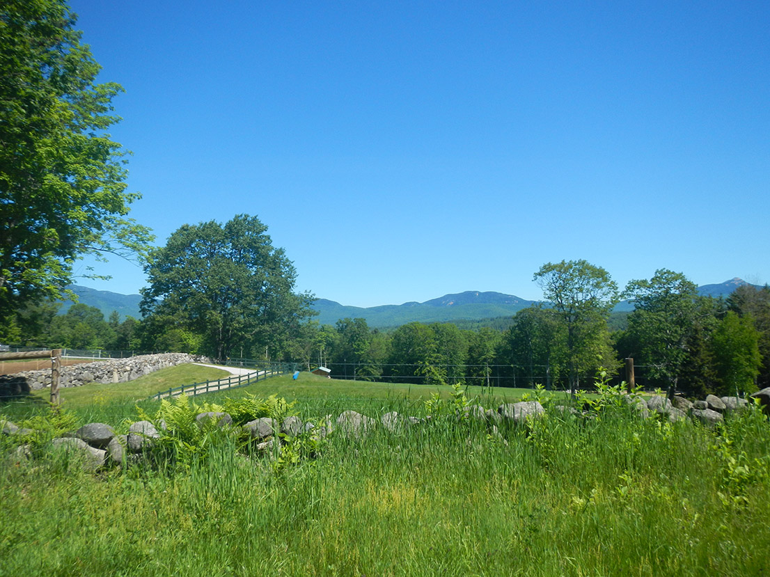 Sandwich, NH Homes for Sale Sandwich Real Estate Badger Peabody