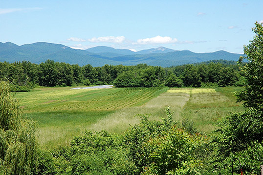 Stewartstown, NH Real Estate & Homes for Sale