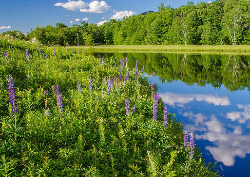 Waterville Valley, NH Real Estate & Homes for Sale